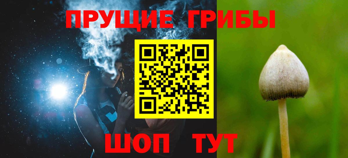 Псилоцибиновые грибы прущие грибы  Галлюциногенные грибы мицелий  Вход с VPN  Семёнов 
